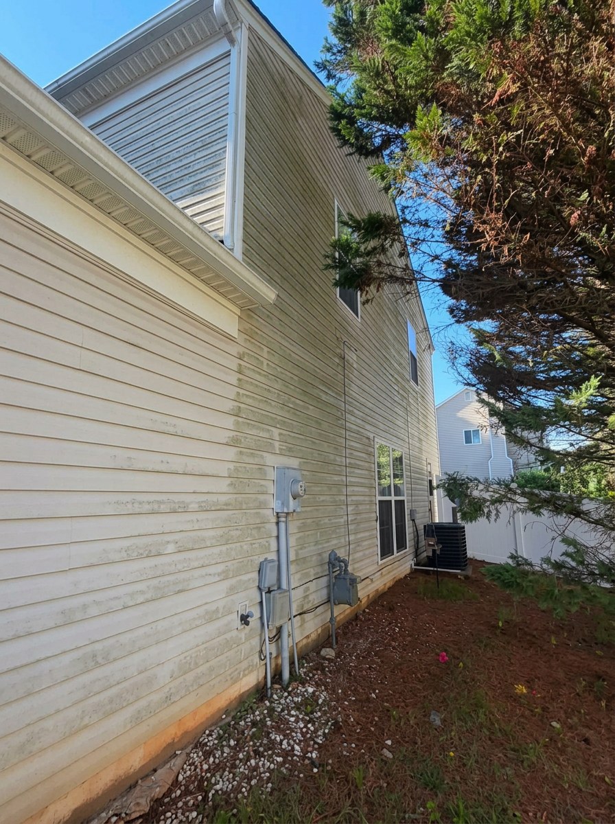 Algae-streaked siding before cleaning